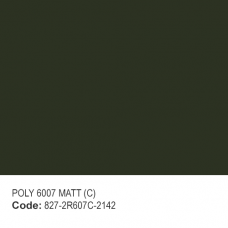 POLYESTER RAL 6007 MATT (C) POLYESTER RAL 6007 MATT (C)